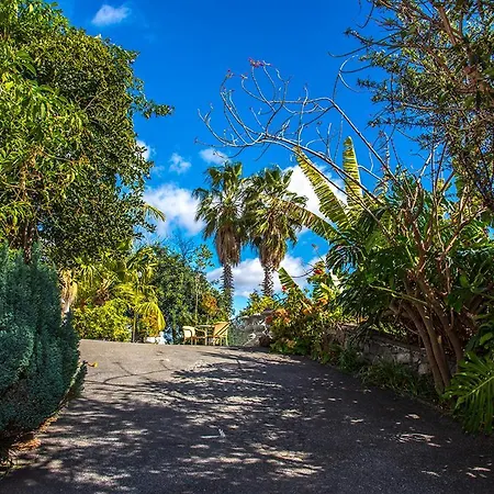 Afonso Bed & Breakfast Estreito de Camara de Lobos