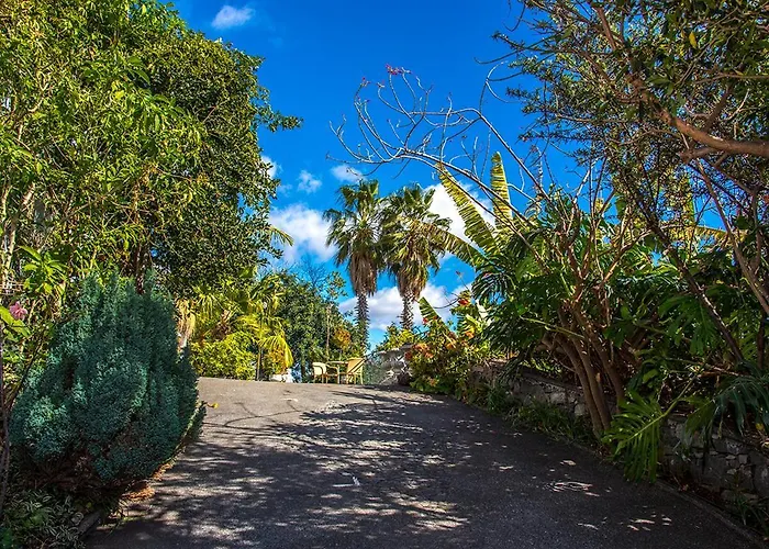 Afonso Bed & Breakfast Estreito de Camara de Lobos